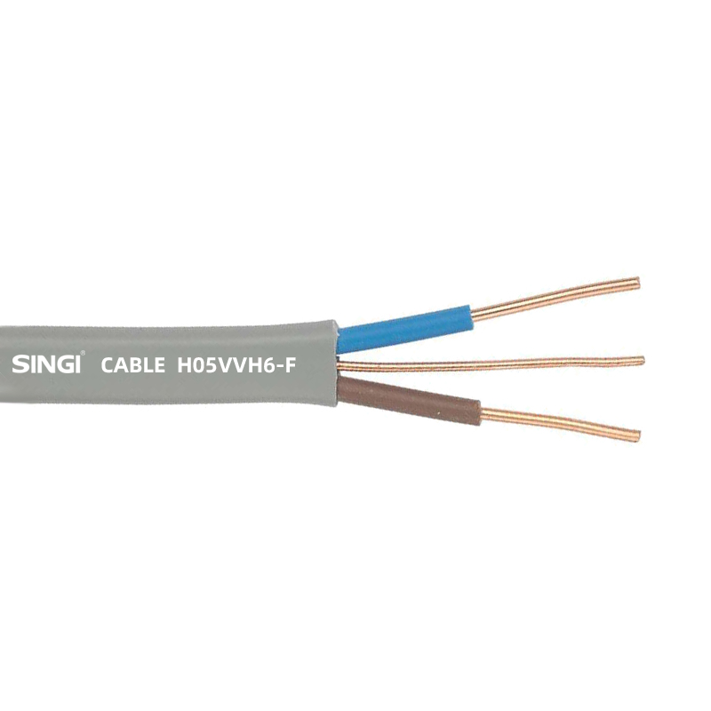 Câble plat double et terre H05VVH6-F CE